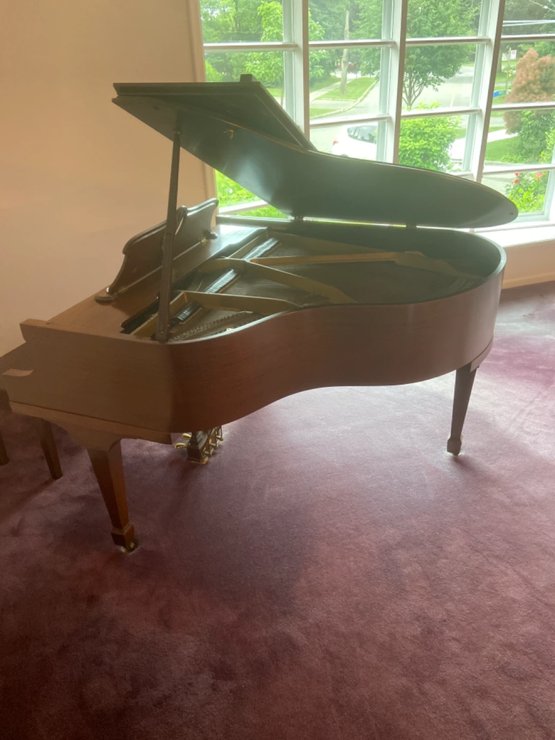 Mason & Bisch Grand Piano - photo 3