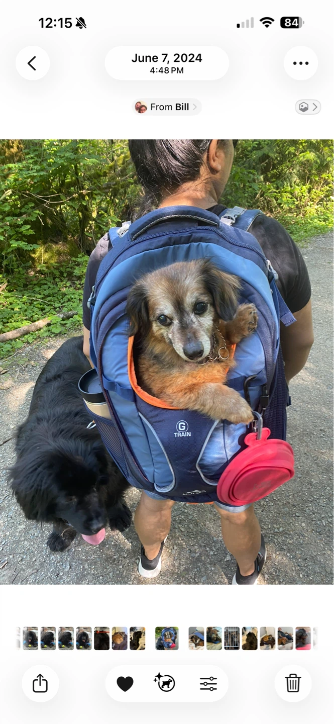 Kurgo Dog Carrier Backpack for dogs up to 25 lbs - photo 5