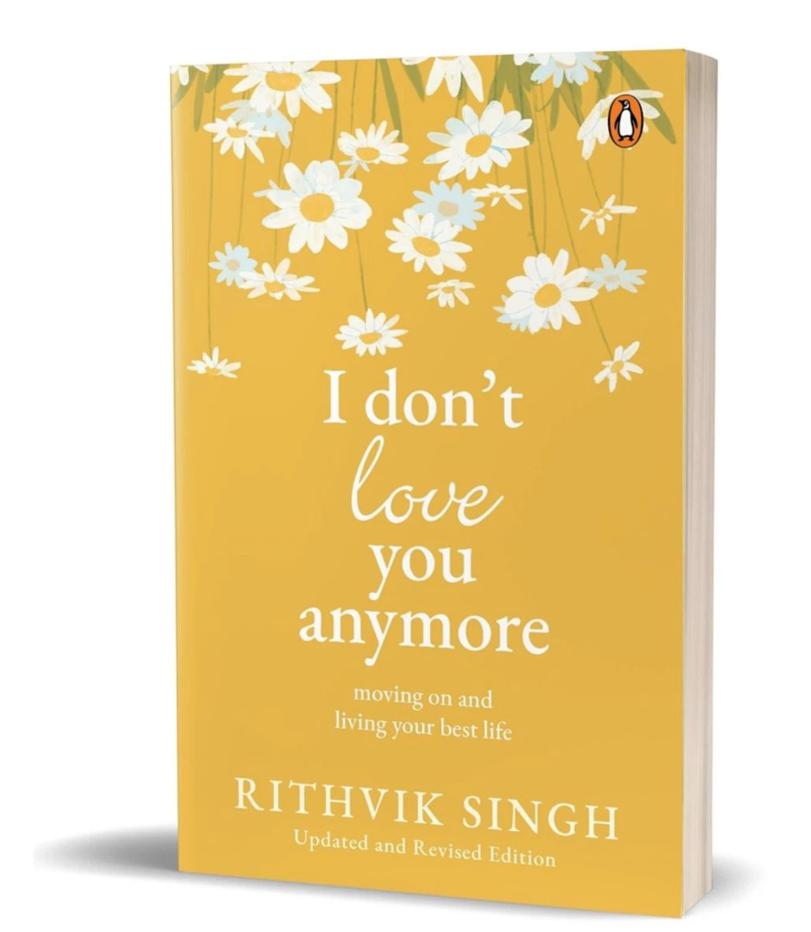 I Don't Love You Anymore by Rithvik Singh Book