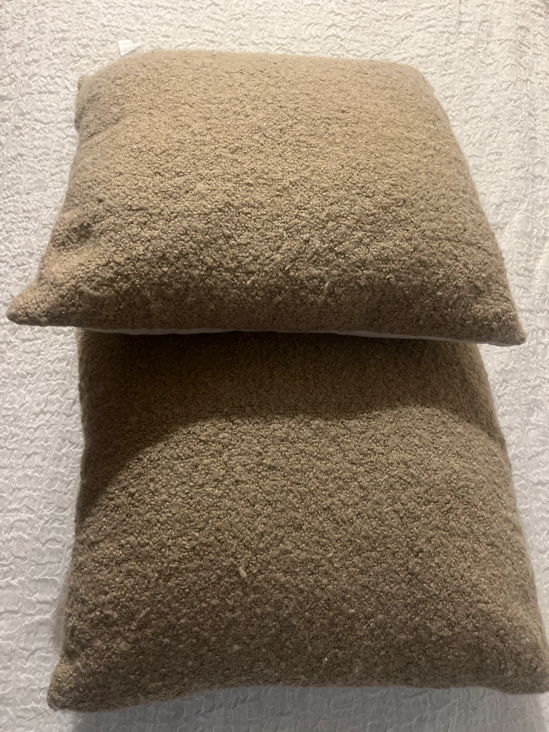 2 Pottery Barn Pillows