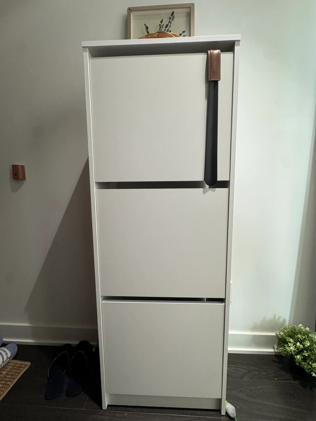 IKEA Bissa shoe cabinet