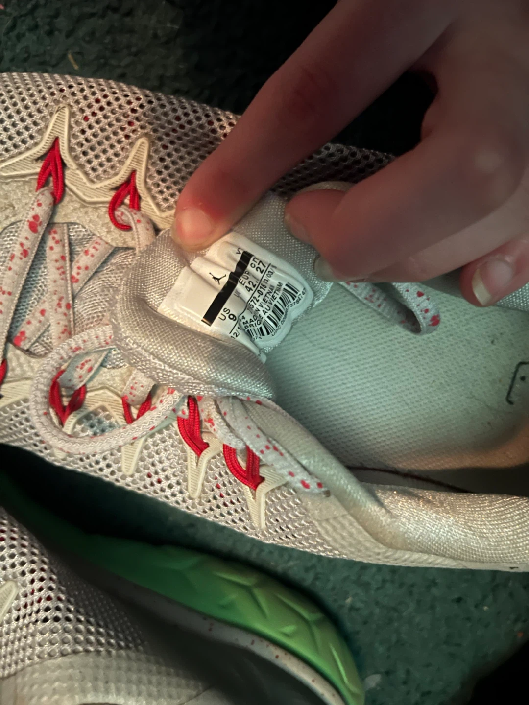 Nike Air Jordan Sneakers