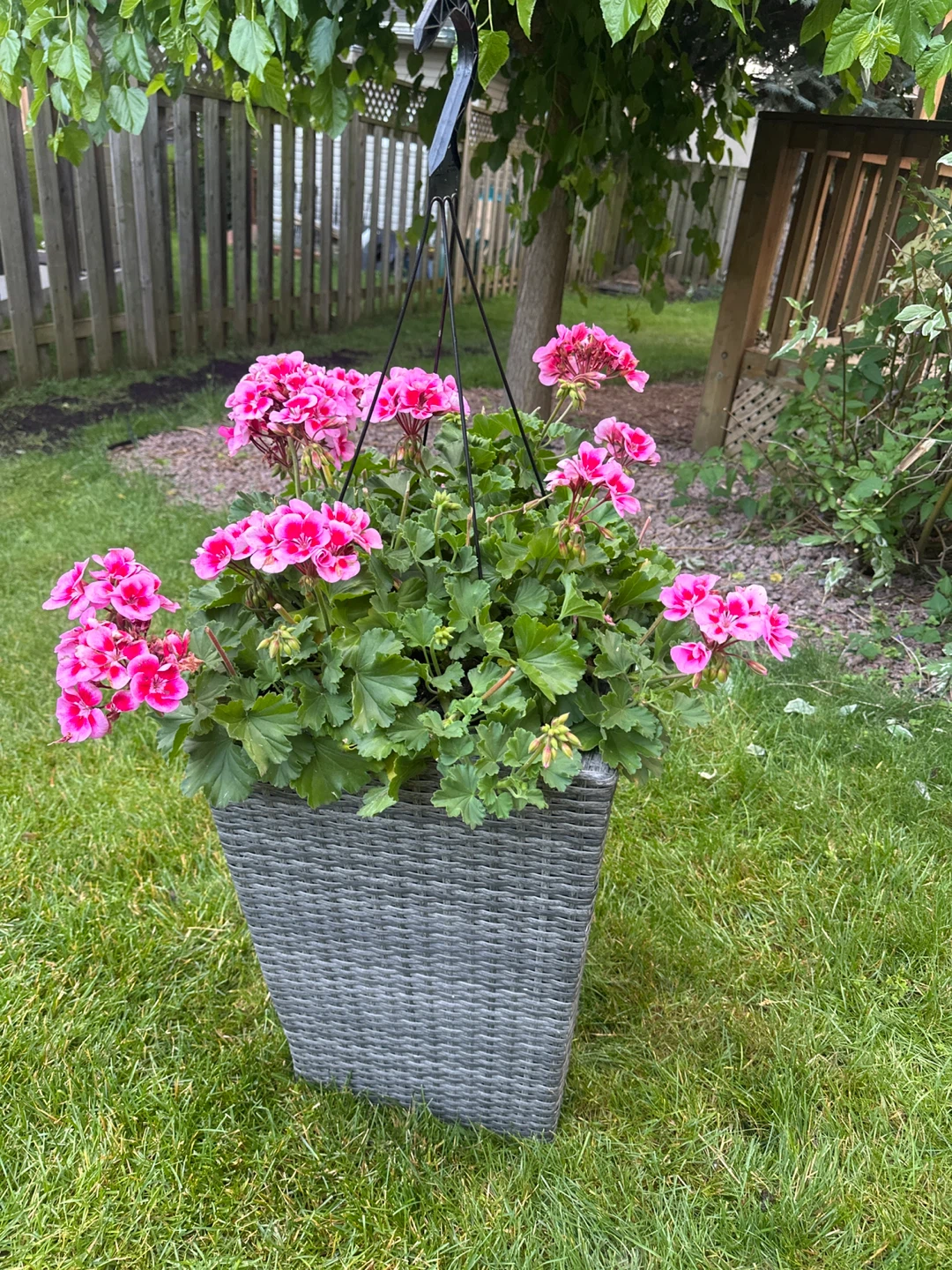 Grey Wicker Planter Pot - photo 4
