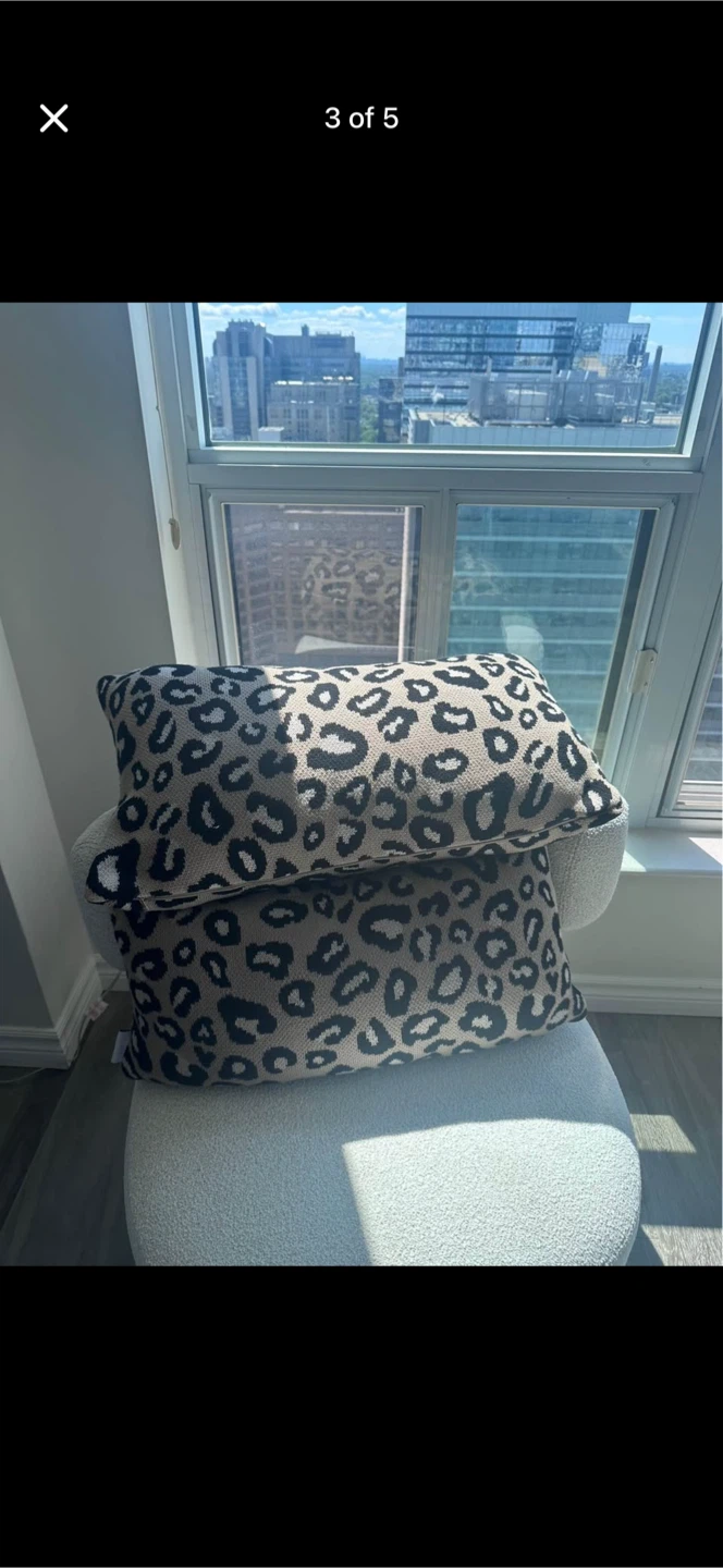 2 Cheetah Print Pillows, Cheetah Blanket, and Bouquet Blanket - photo 3