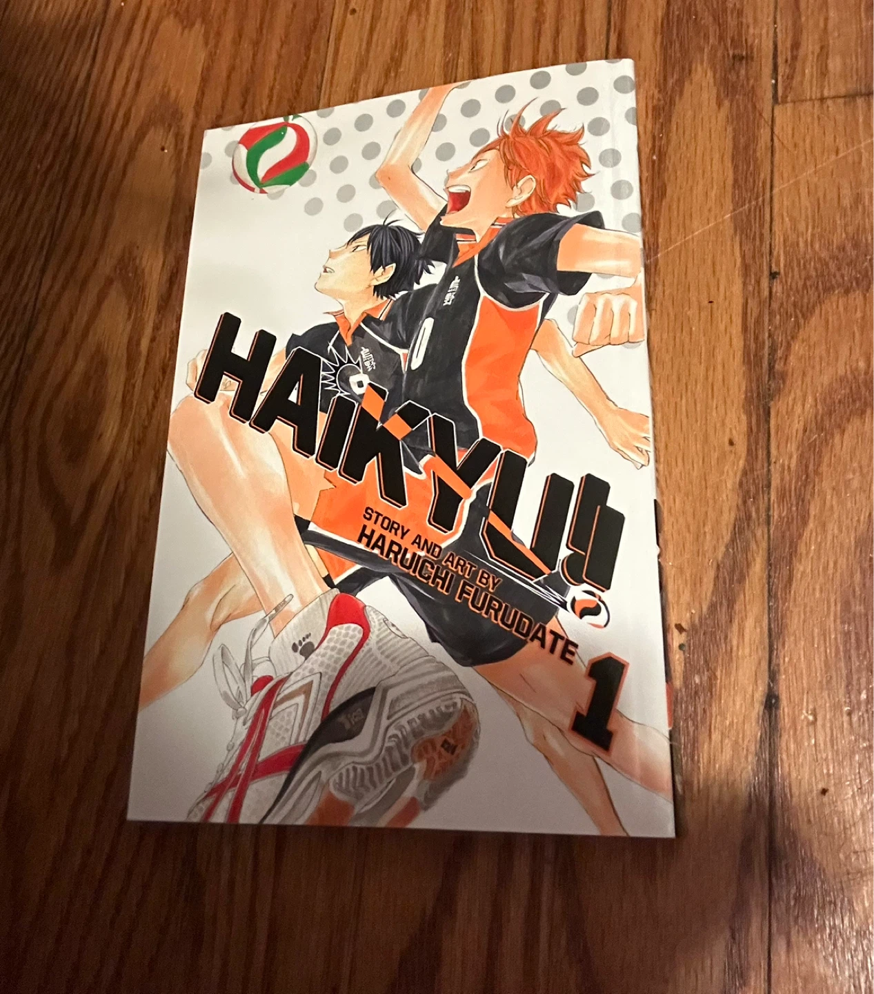 Haikyuu vol 1 manga