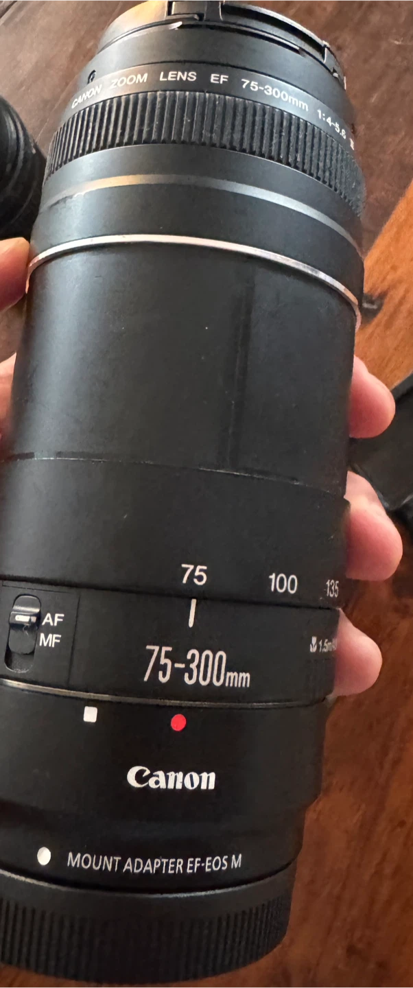 Canon M50, 24MP - photo 5