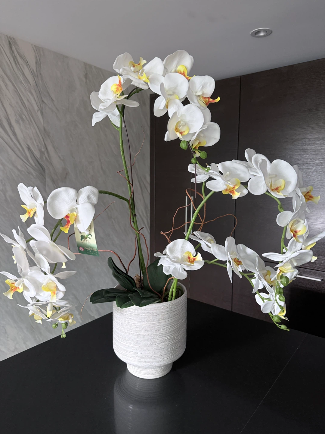 White Artificial Orchid Plant