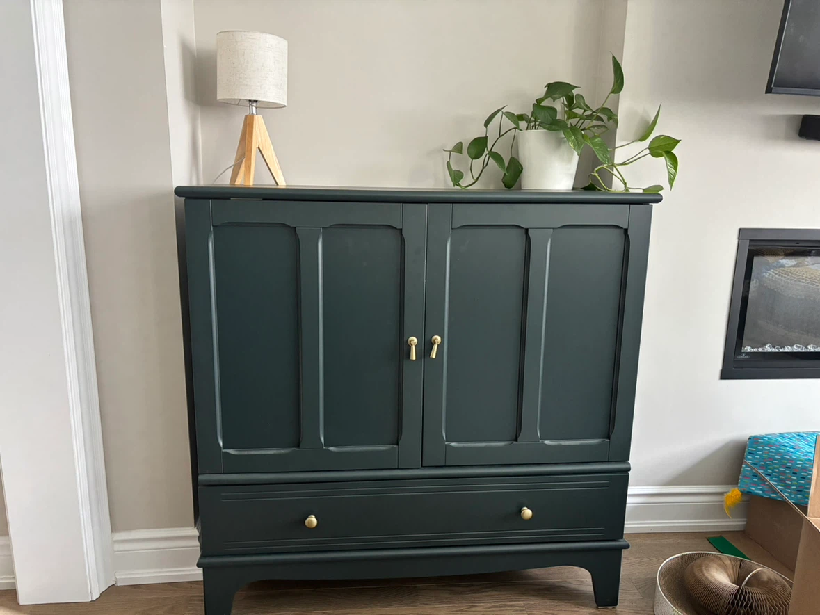 Two IKEA Dark Green Cabinets - photo 2