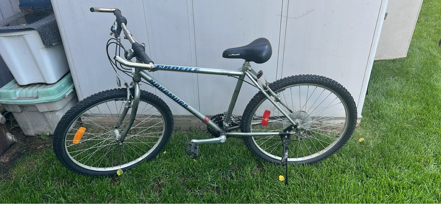 Profile Noramie Mountain Bike