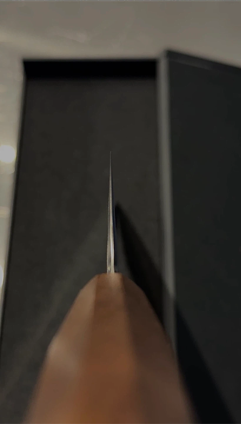 Ryusen Blazen Gyuto 240mm - photo 2