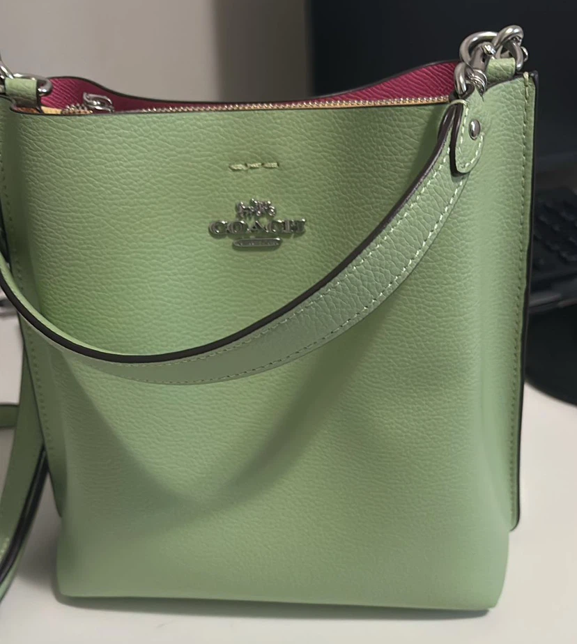 Coach Bucket Bag - Light Green Leather