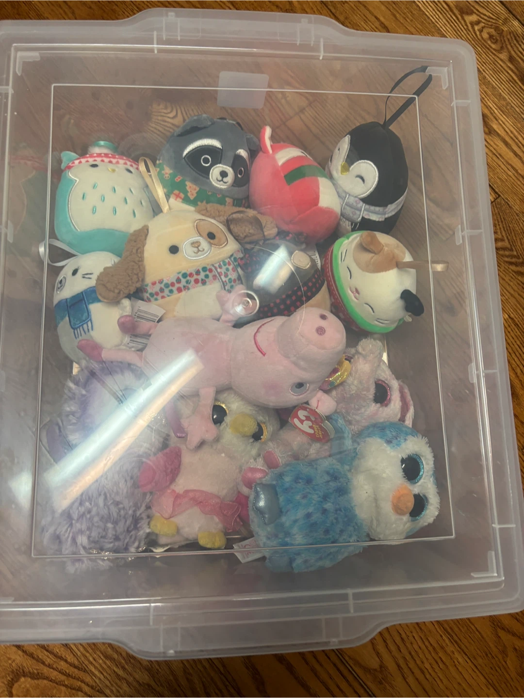 Assorted Ty Beanie Boos Plush Toys with free container - photo 3