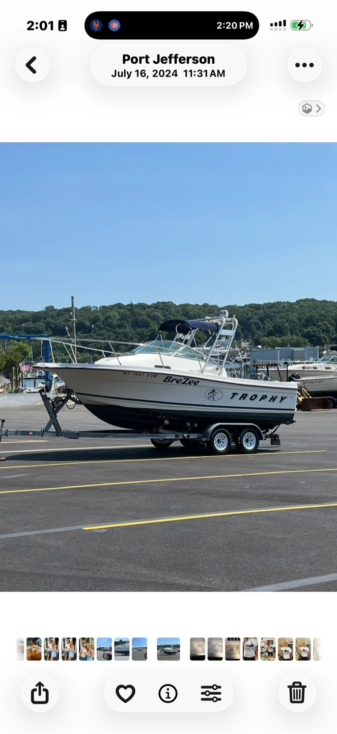 Bay liner trophy 21 ft