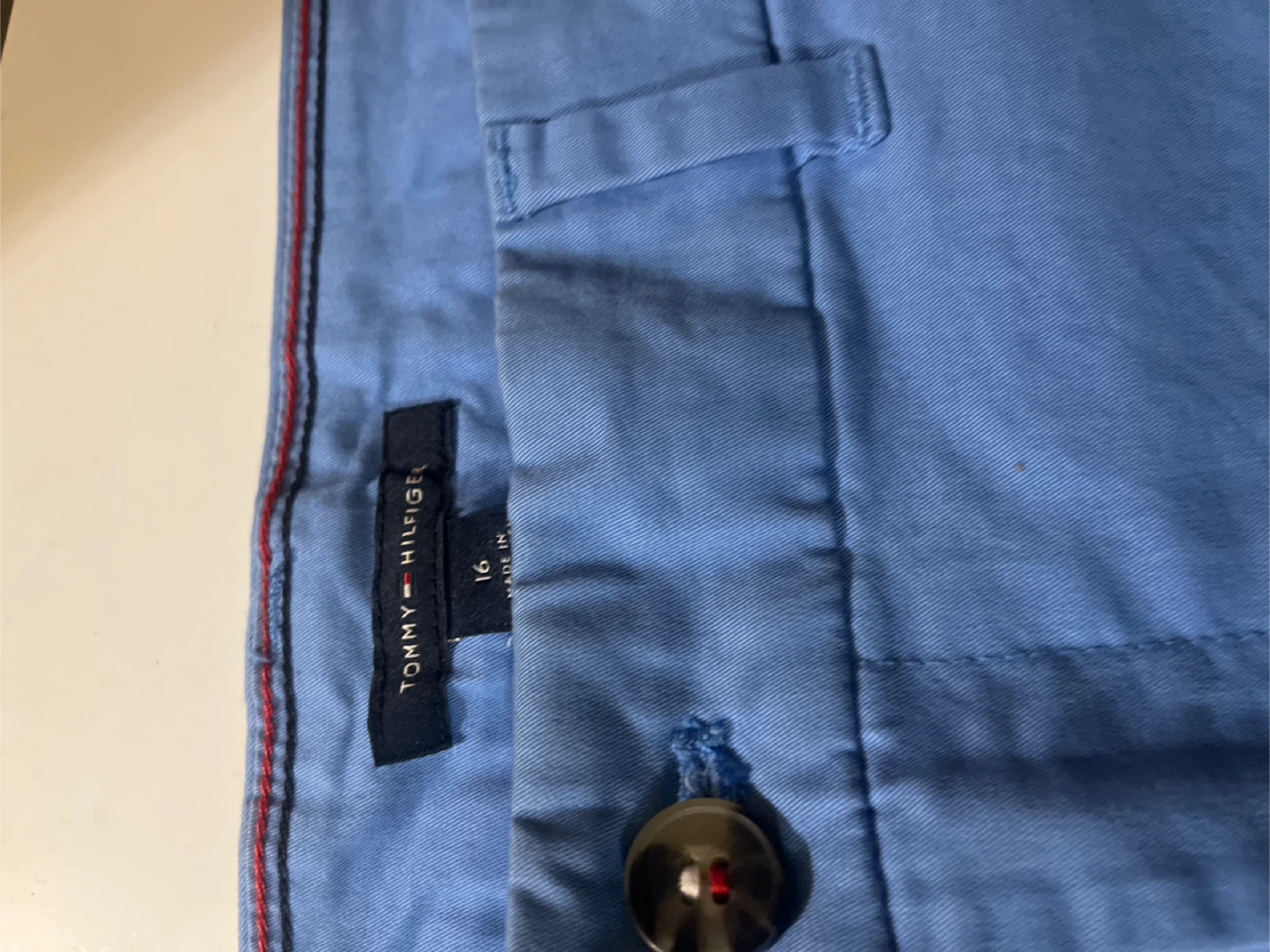 Tommy Hilfiger Blue Chino Shorts