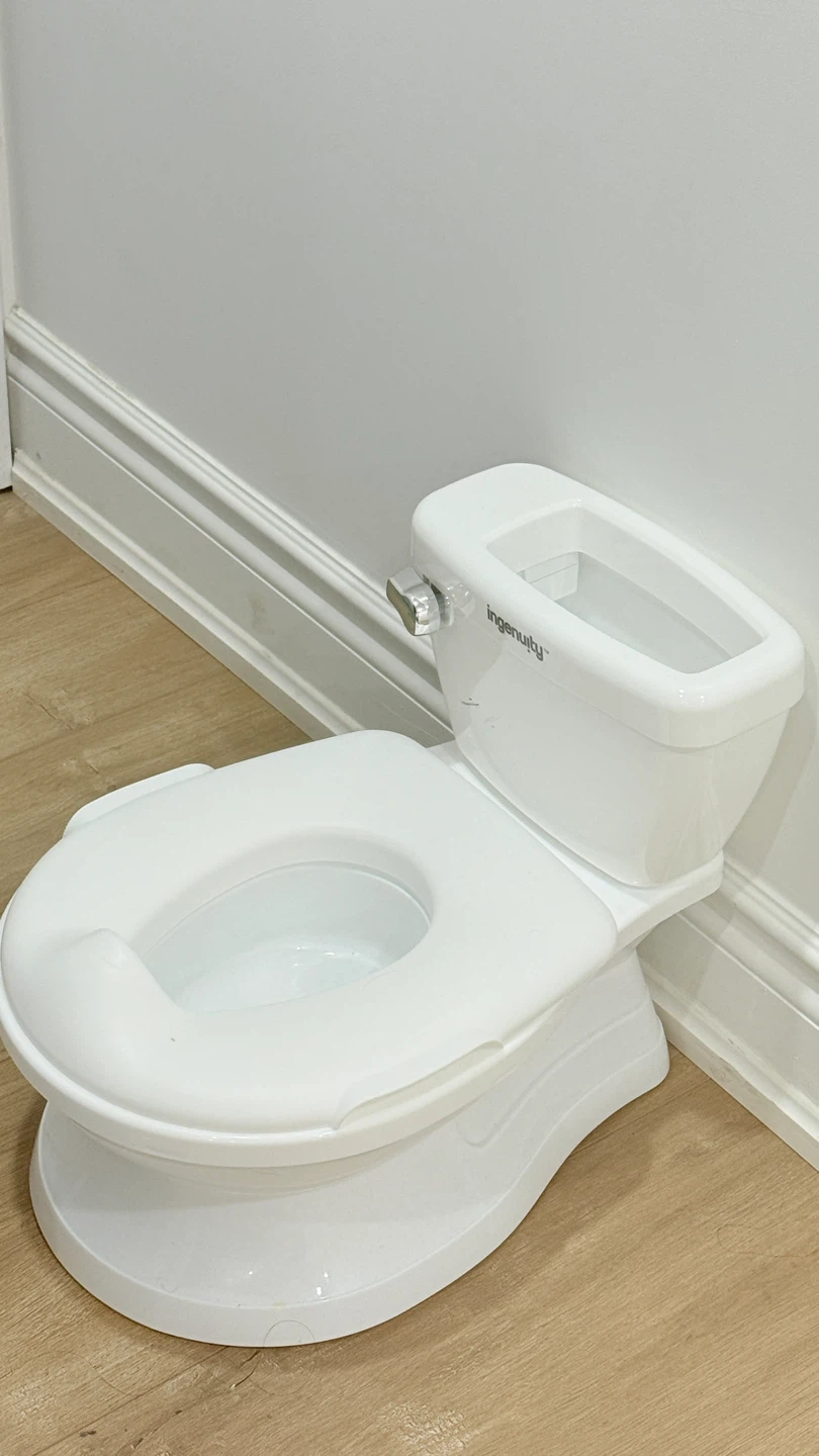 Ingenuity My Size Potty Pro 2-in-1 System