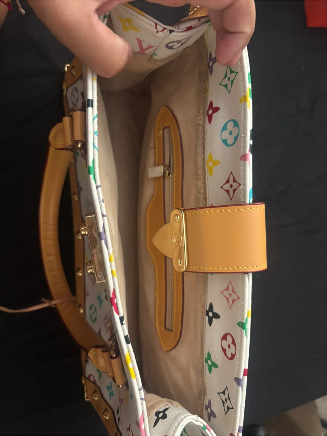 Louis Vuitton Multicolor Speedy Bag - photo 2