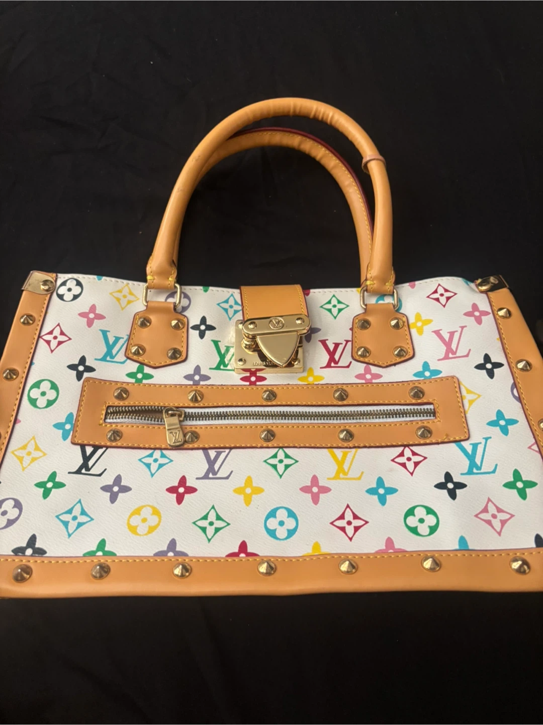 Louis Vuitton Multicolor Speedy Bag