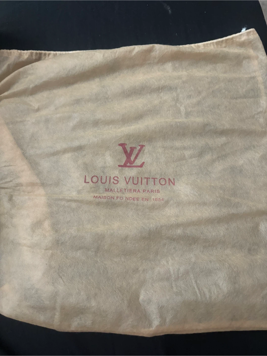 Louis Vuitton Multicolor Speedy Bag - photo 3