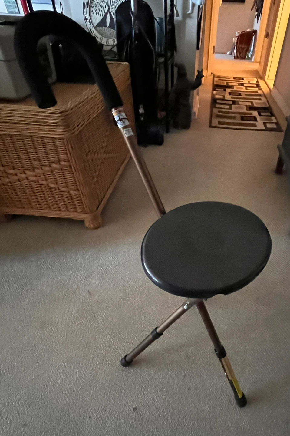 Never used Cane Seat - photo 2