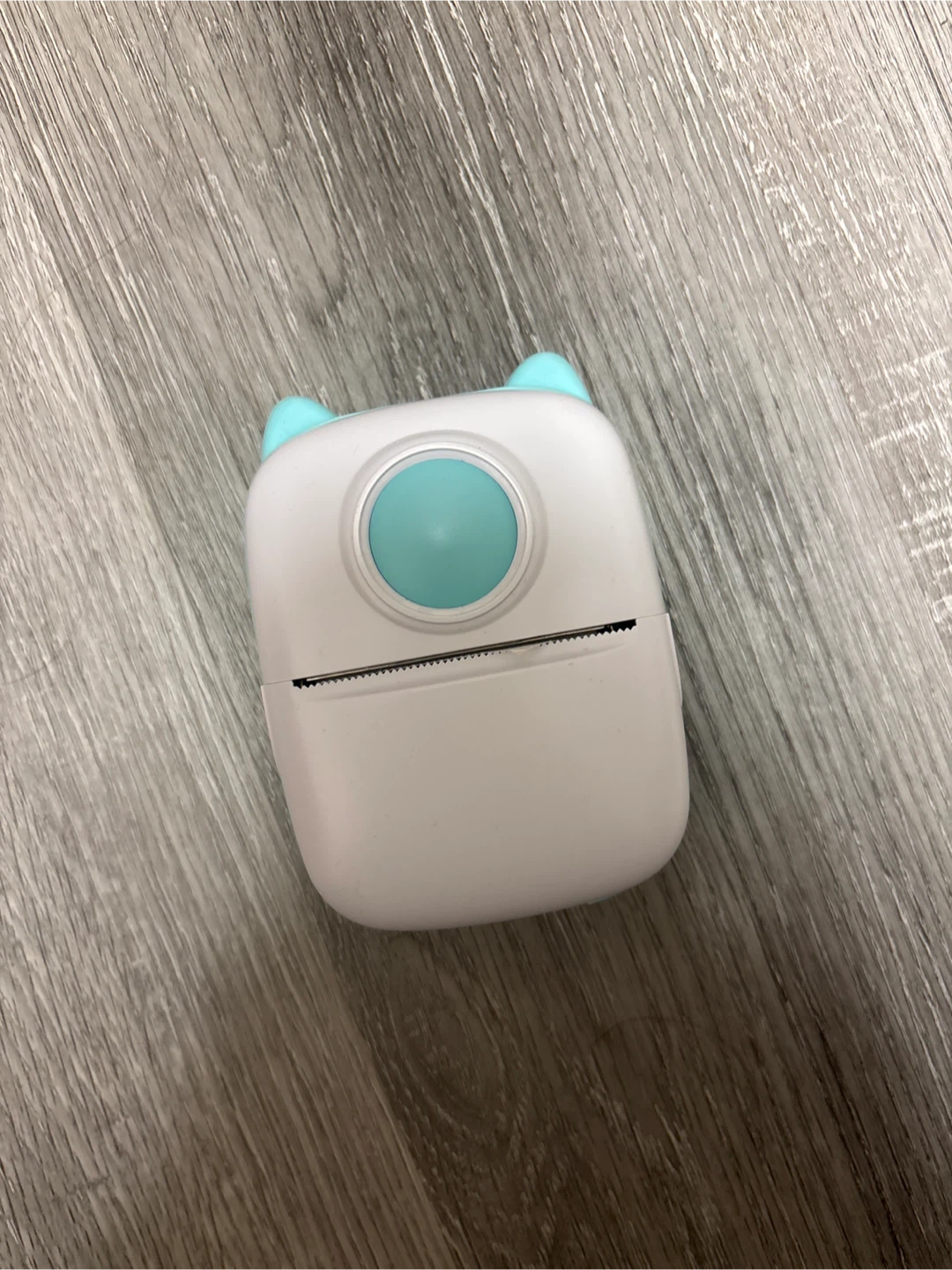 Cute Cat Mini Printer with Colour Rolls