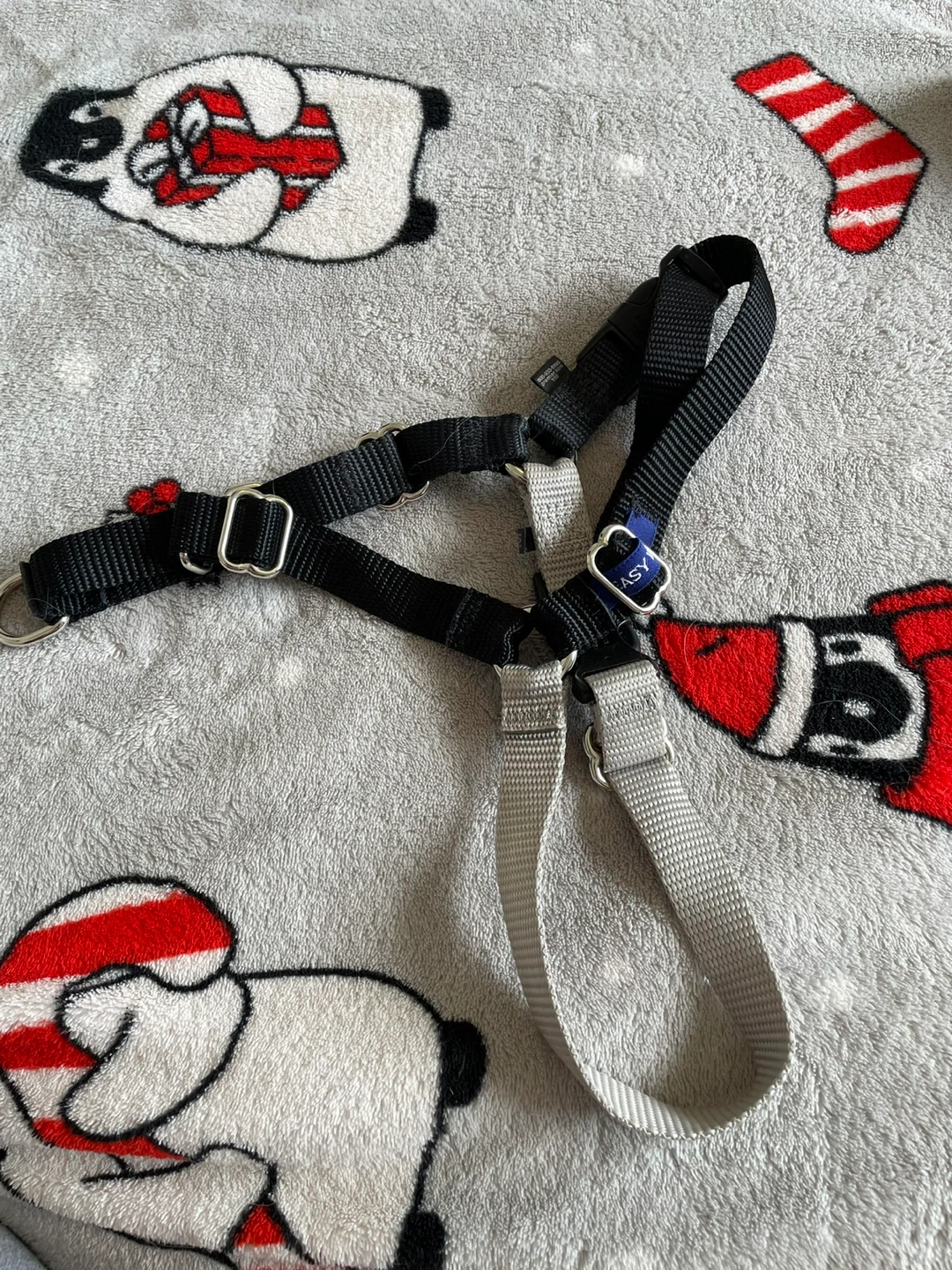Medium Easy Walk Dog Harness