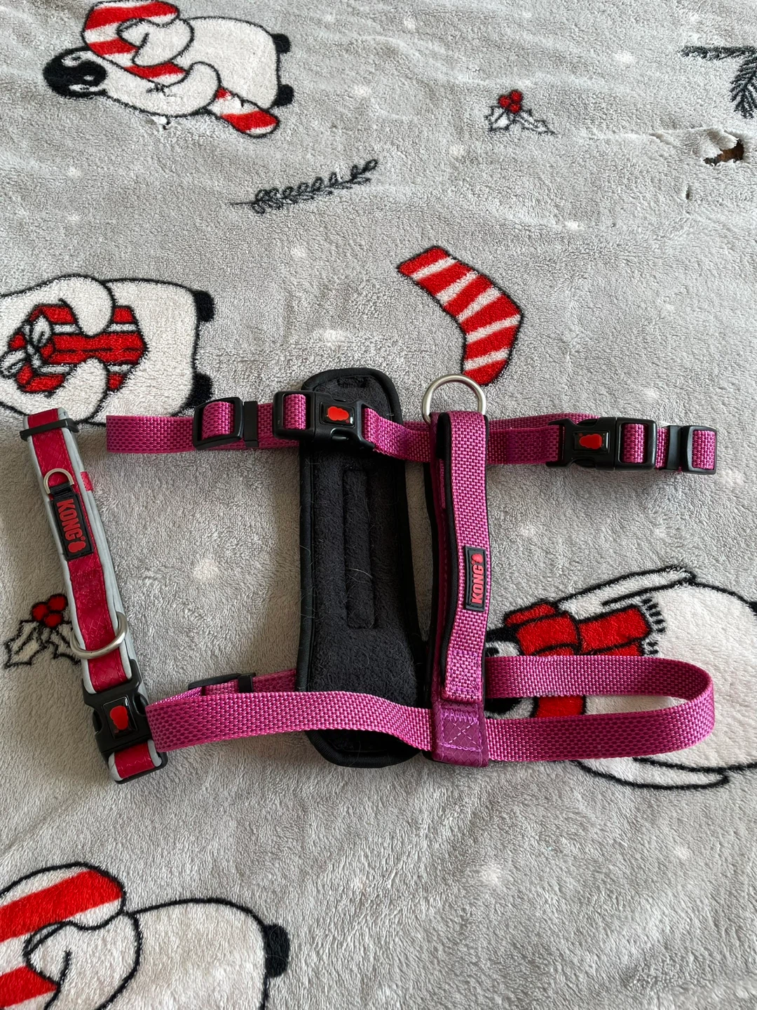 Medium Kong Dog Harness & Collar