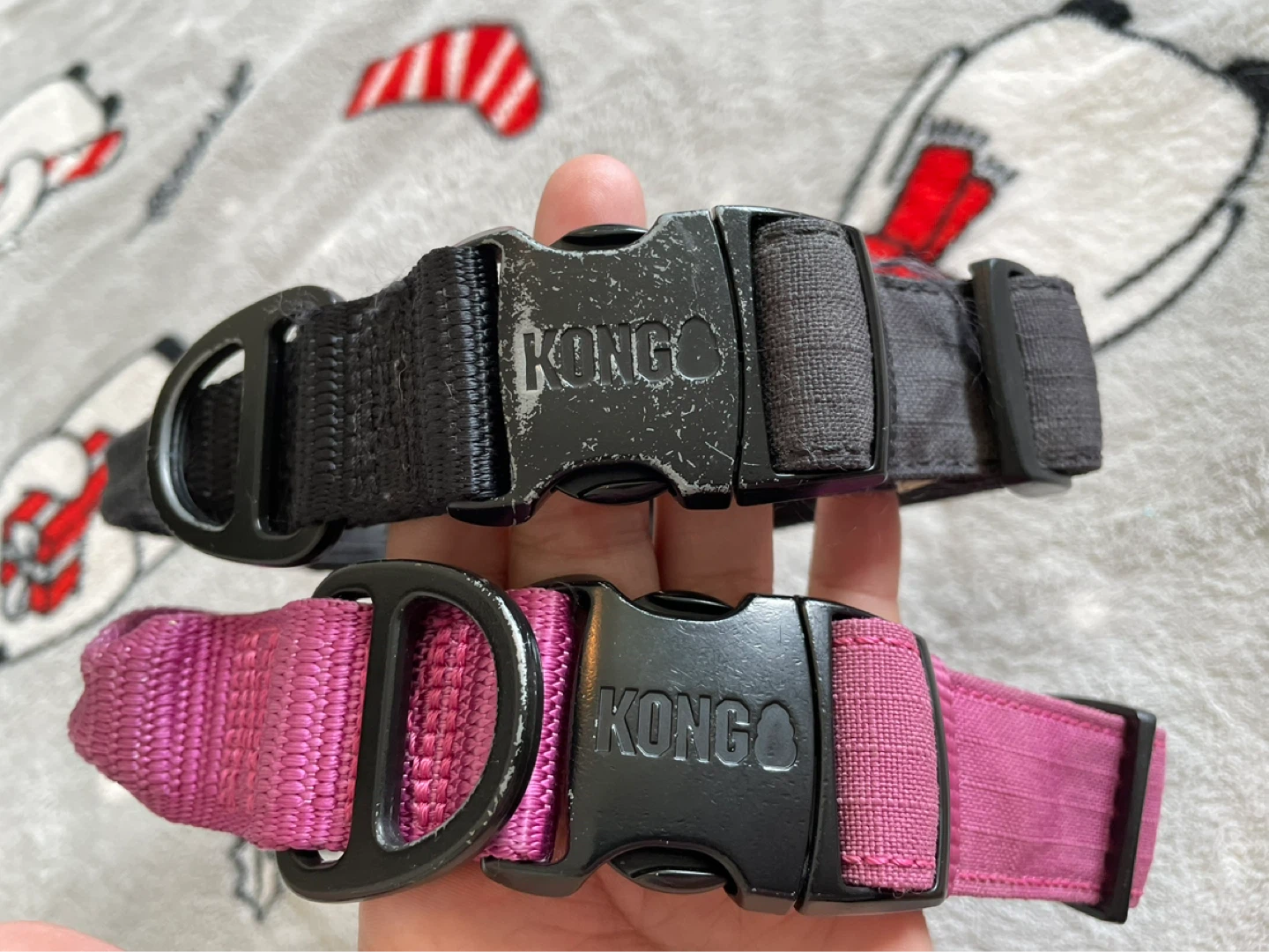 Medium Kong Dog Collars - photo 3