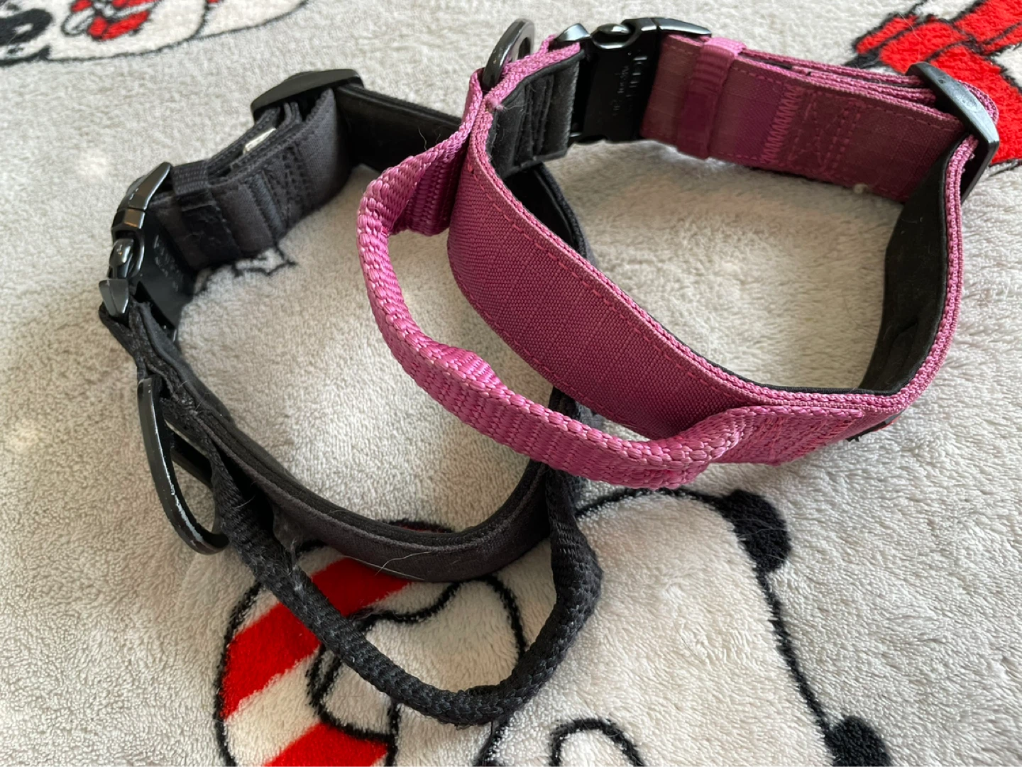 Medium Kong Dog Collars - photo 2