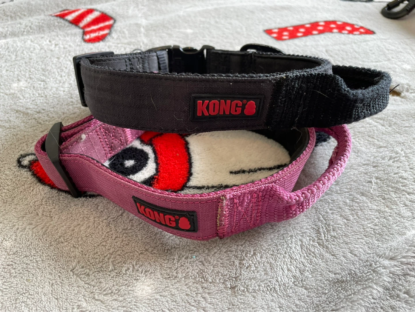 Medium Kong Dog Collars