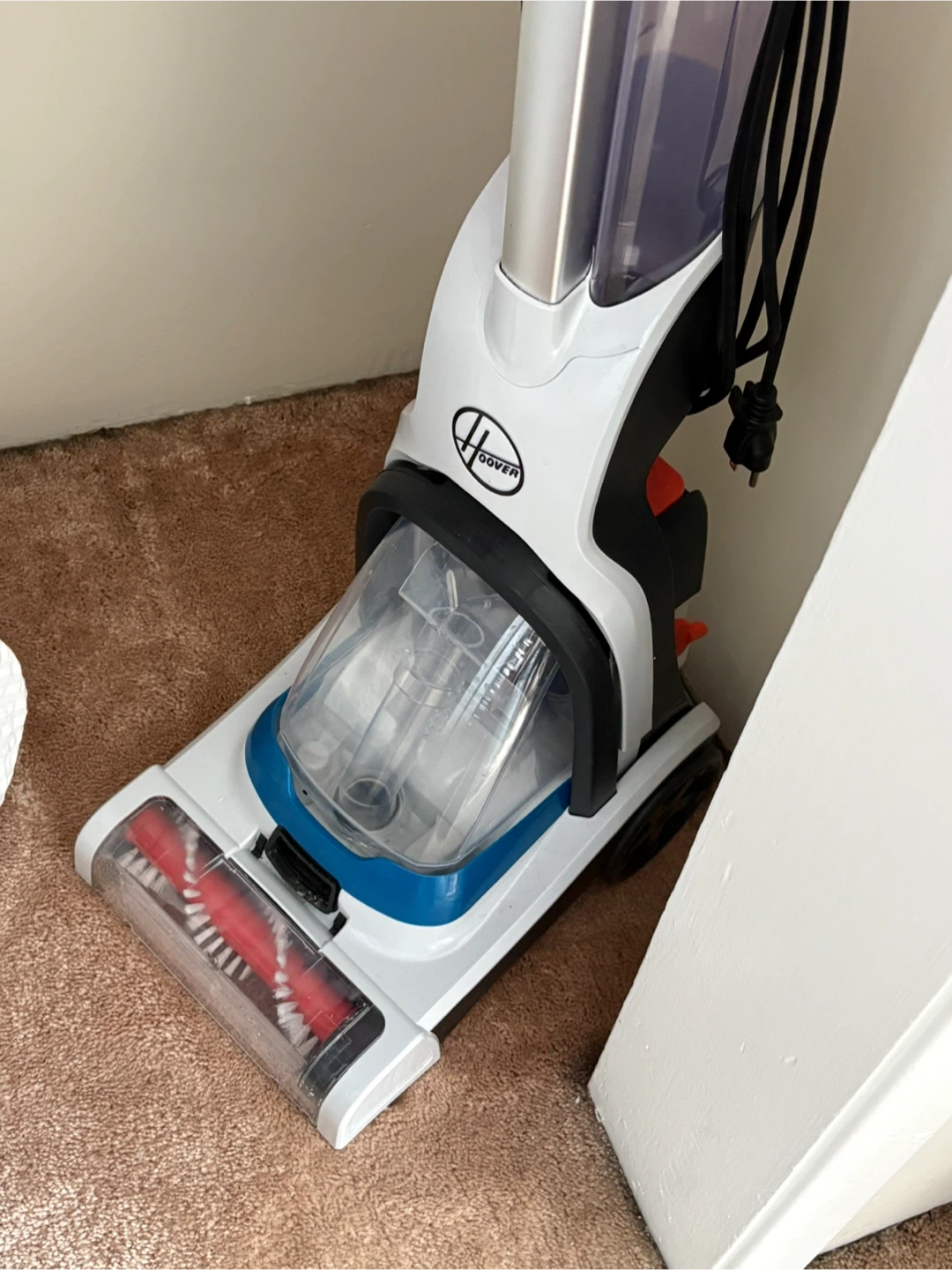 Hoover pet carpet cleaner + solution