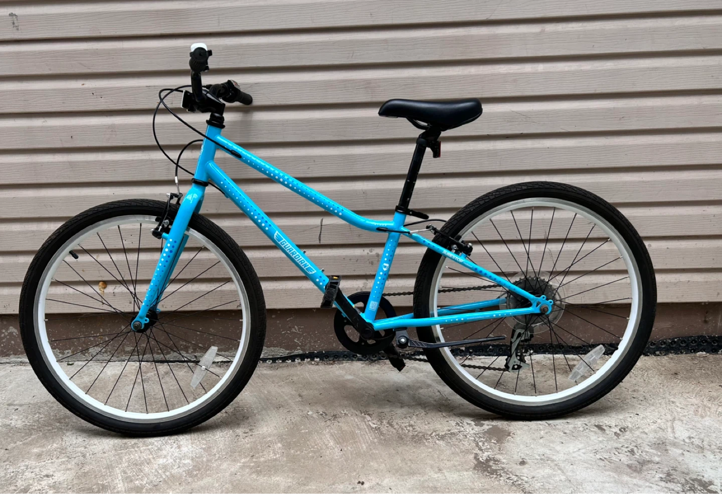 Guardian Kids Bicycle