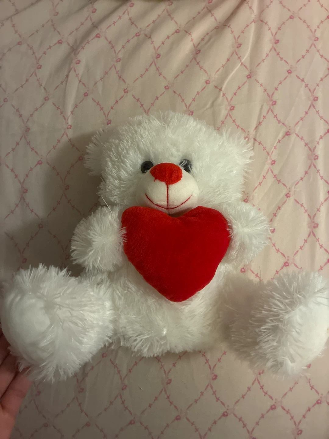 White Teddy Bear with Red Heart