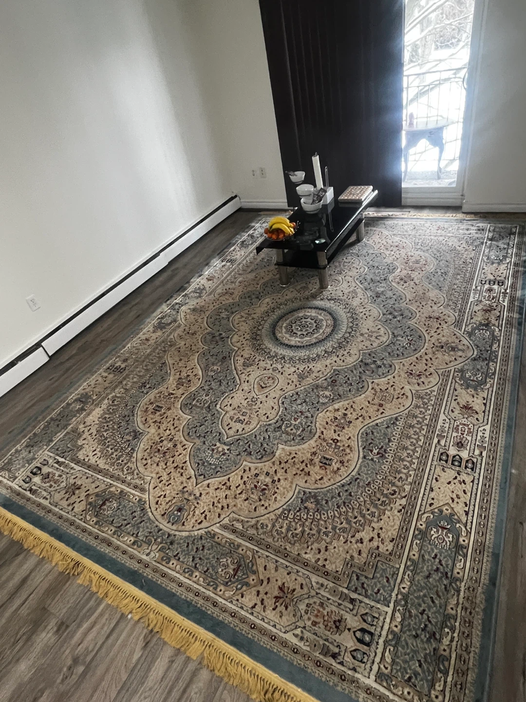 Area Rug with Traditional Pattern