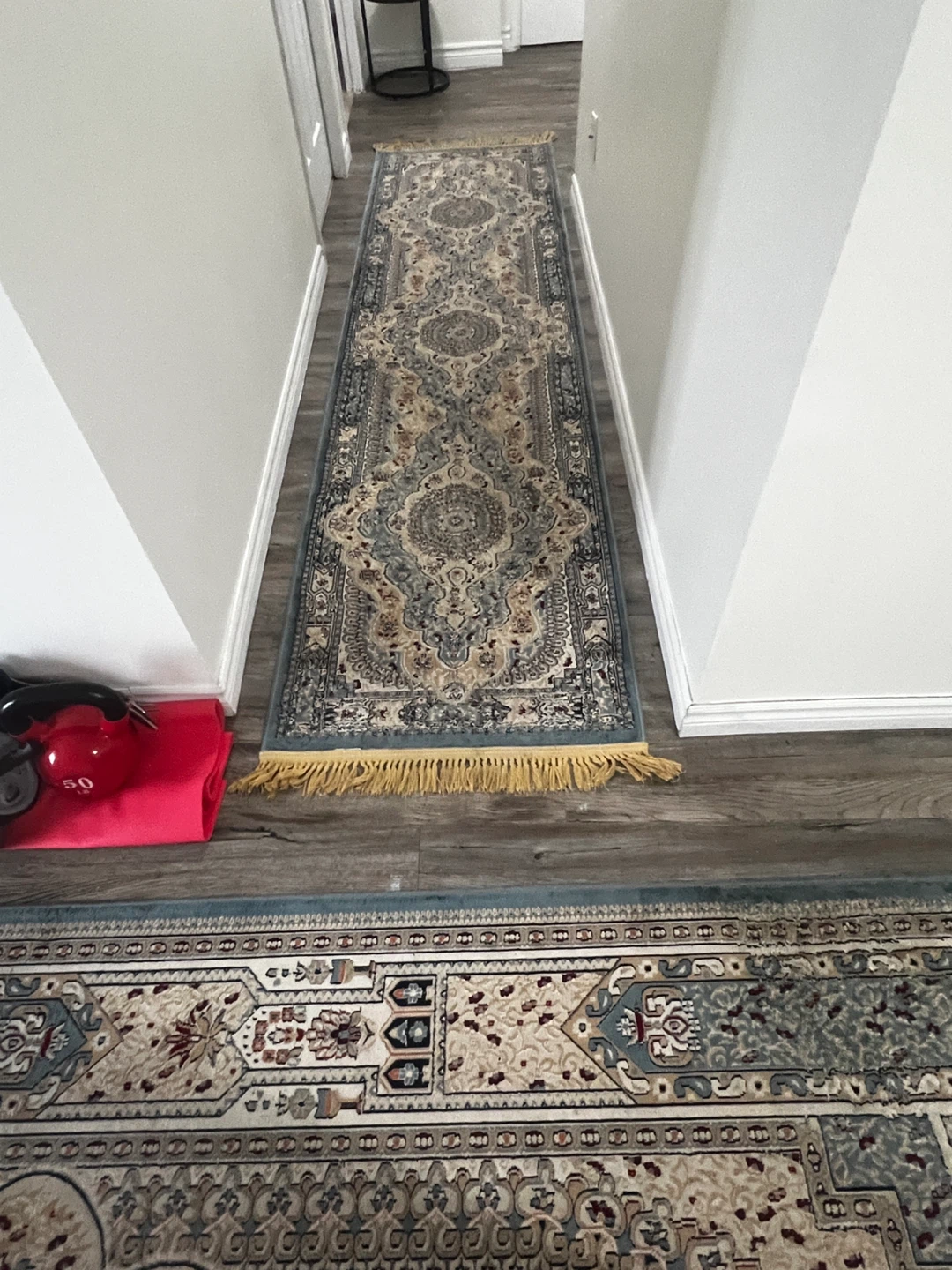 Area Rug with Traditional Pattern - photo 3