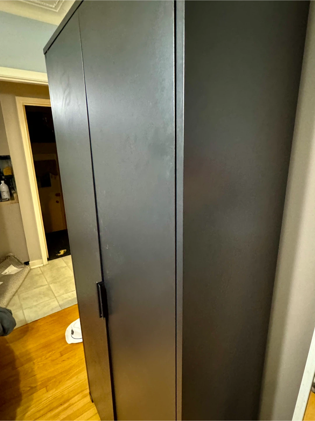 Black Double Door Storage Cabinet
