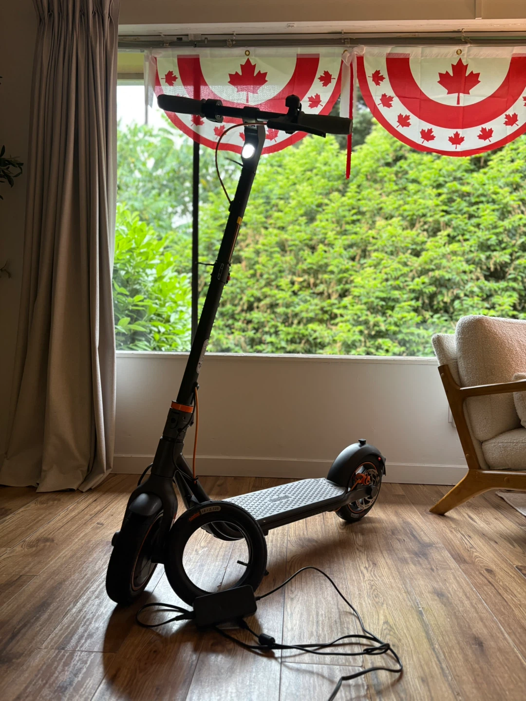 Ninebot Electric Scooter with spare tire and charger