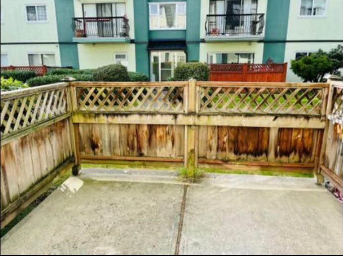 2 bedroom 1 bath Richmond apartment - photo 4