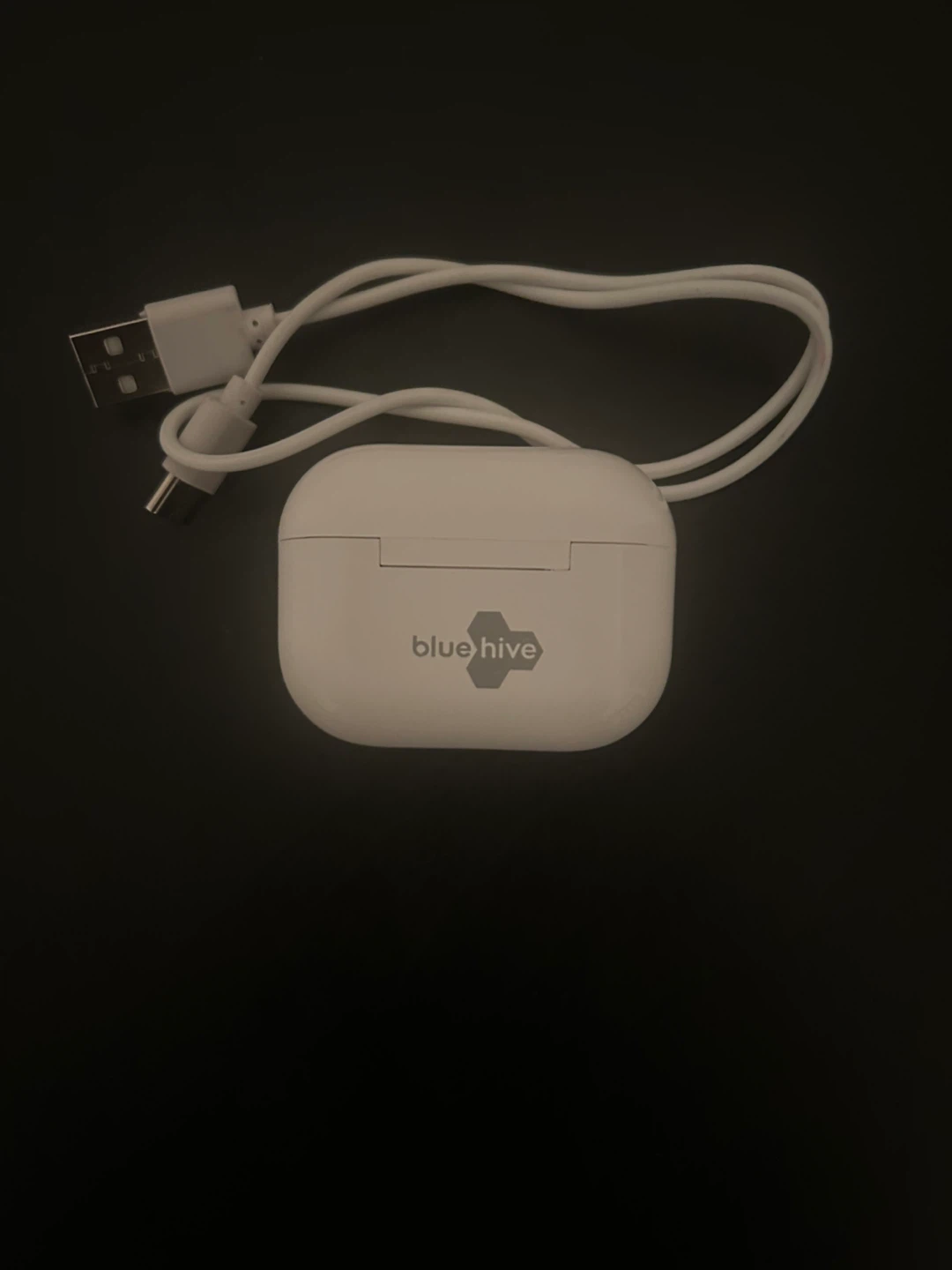 Blue Hive Wireless Earbuds with Charging Case and Cable - photo 3