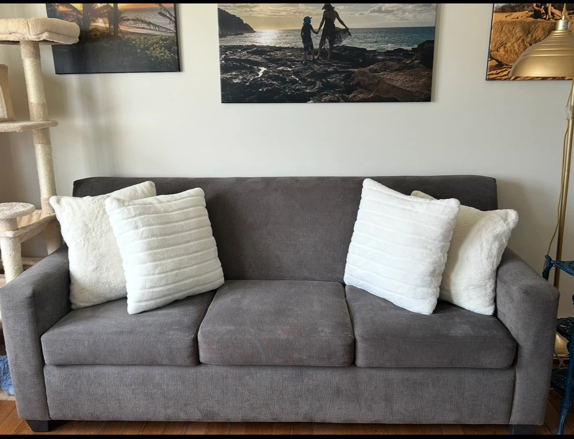 Sofa with Hide-a-bed
