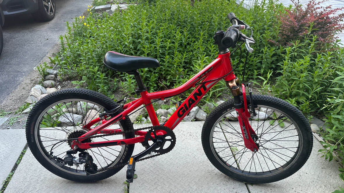Red Giant XTC Kids Bike