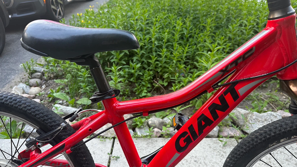 Red Giant XTC Kids Bike - photo 4