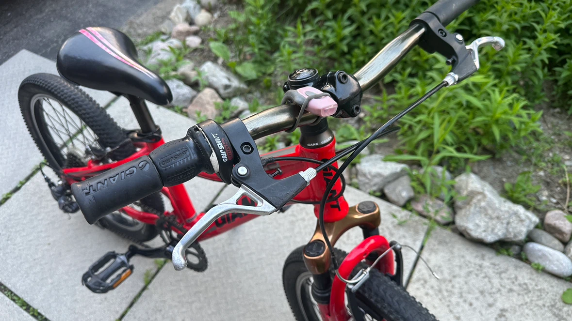Red Giant XTC Kids Bike - photo 5