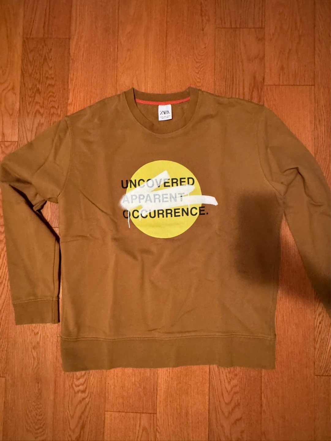 ZARA Brown Graphic Crewneck Sweatshirt