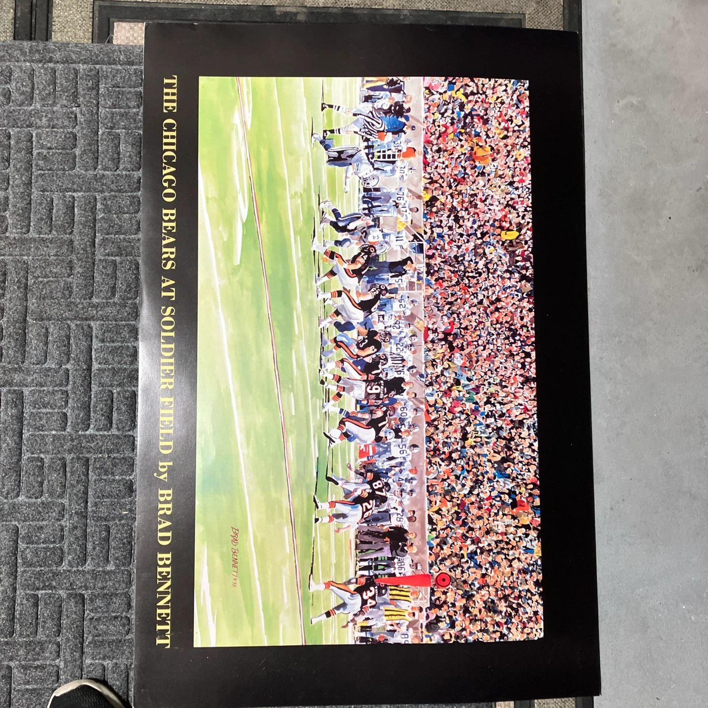 The Chicago Bears at Soldier Field by Brad Bennett Book - photo 2