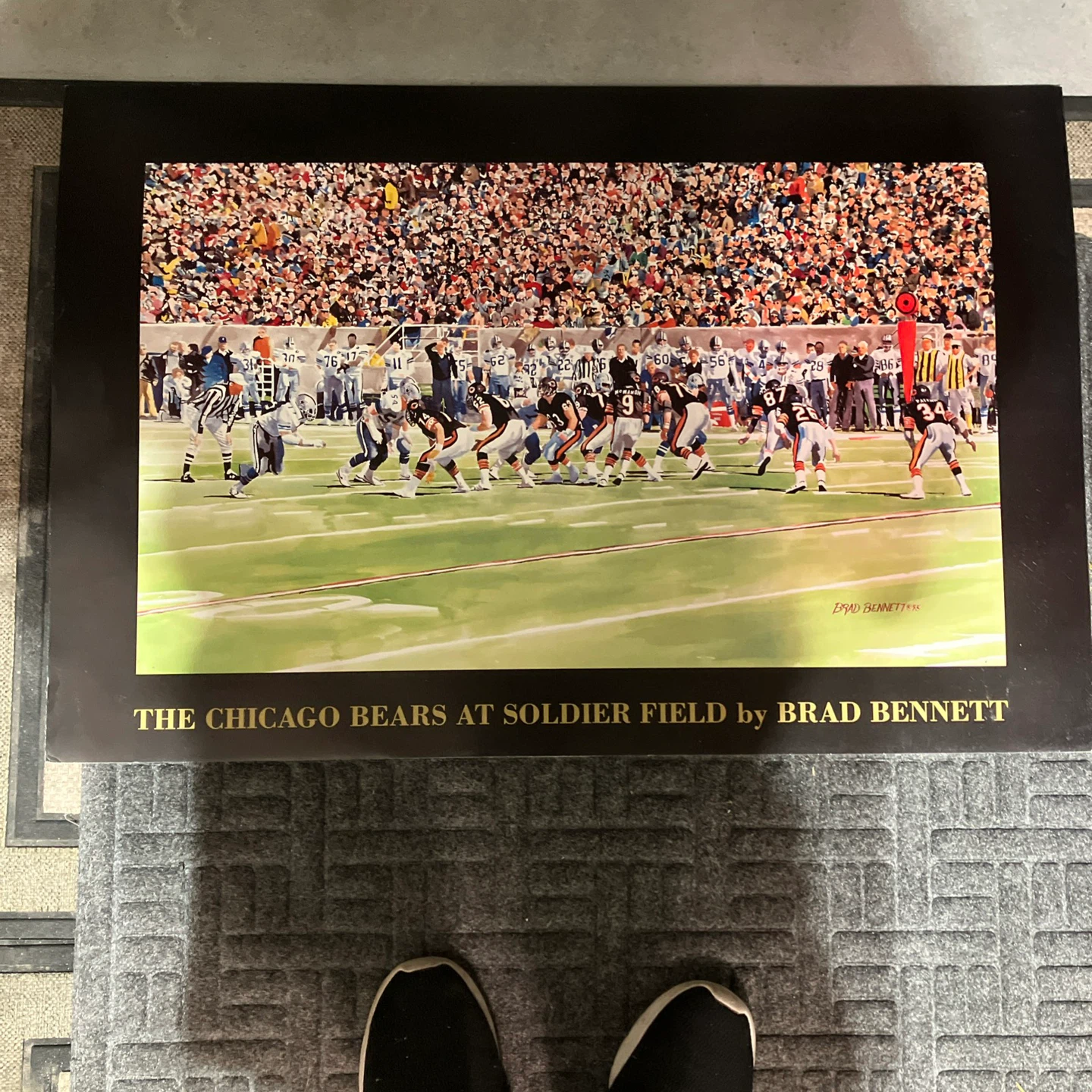 The Chicago Bears at Soldier Field by Brad Bennett Book