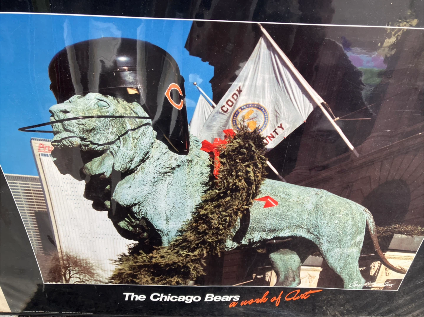 The Chicago Bears