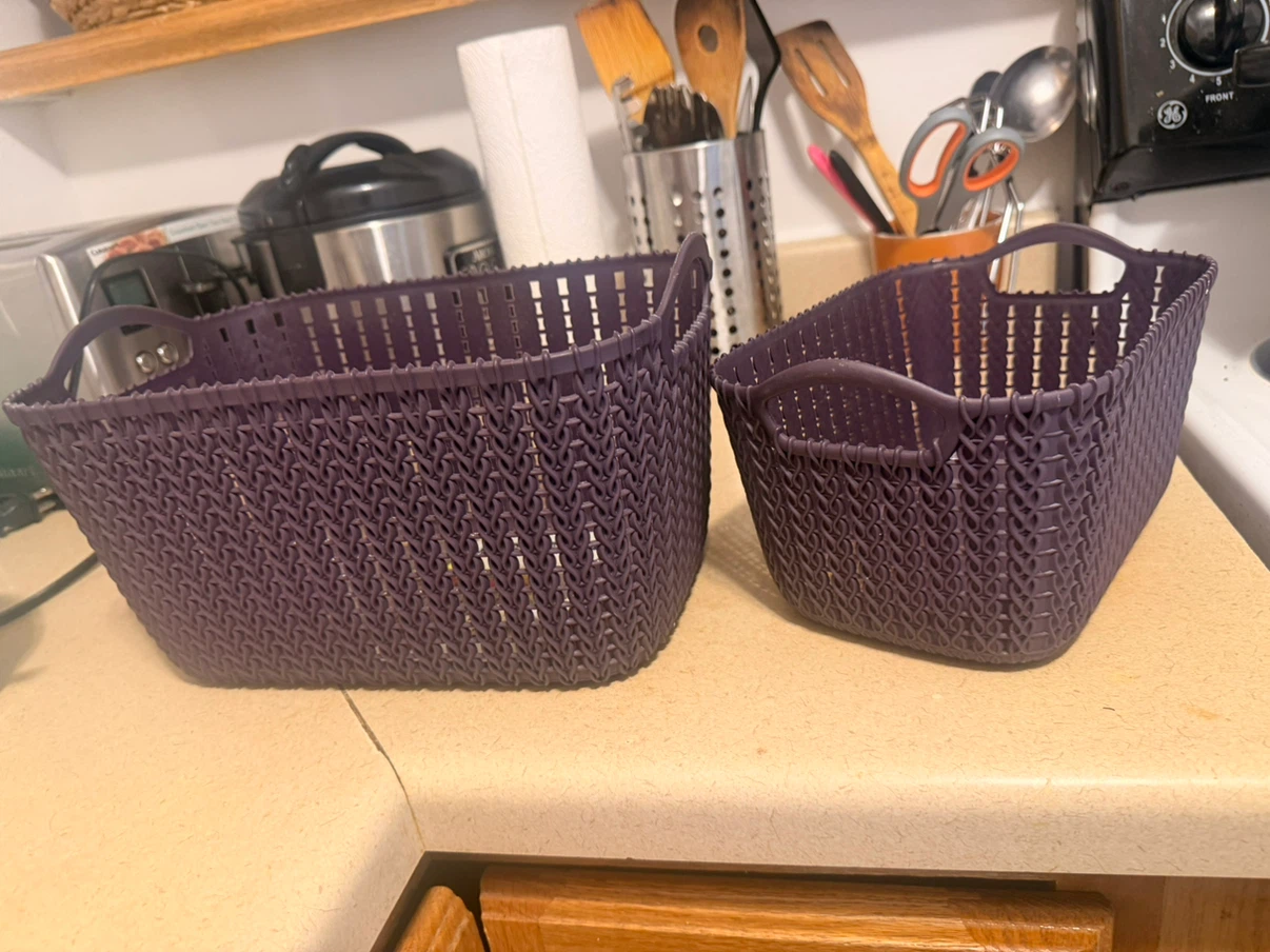 Purple Plastic Storage Baskets (Set of 2)