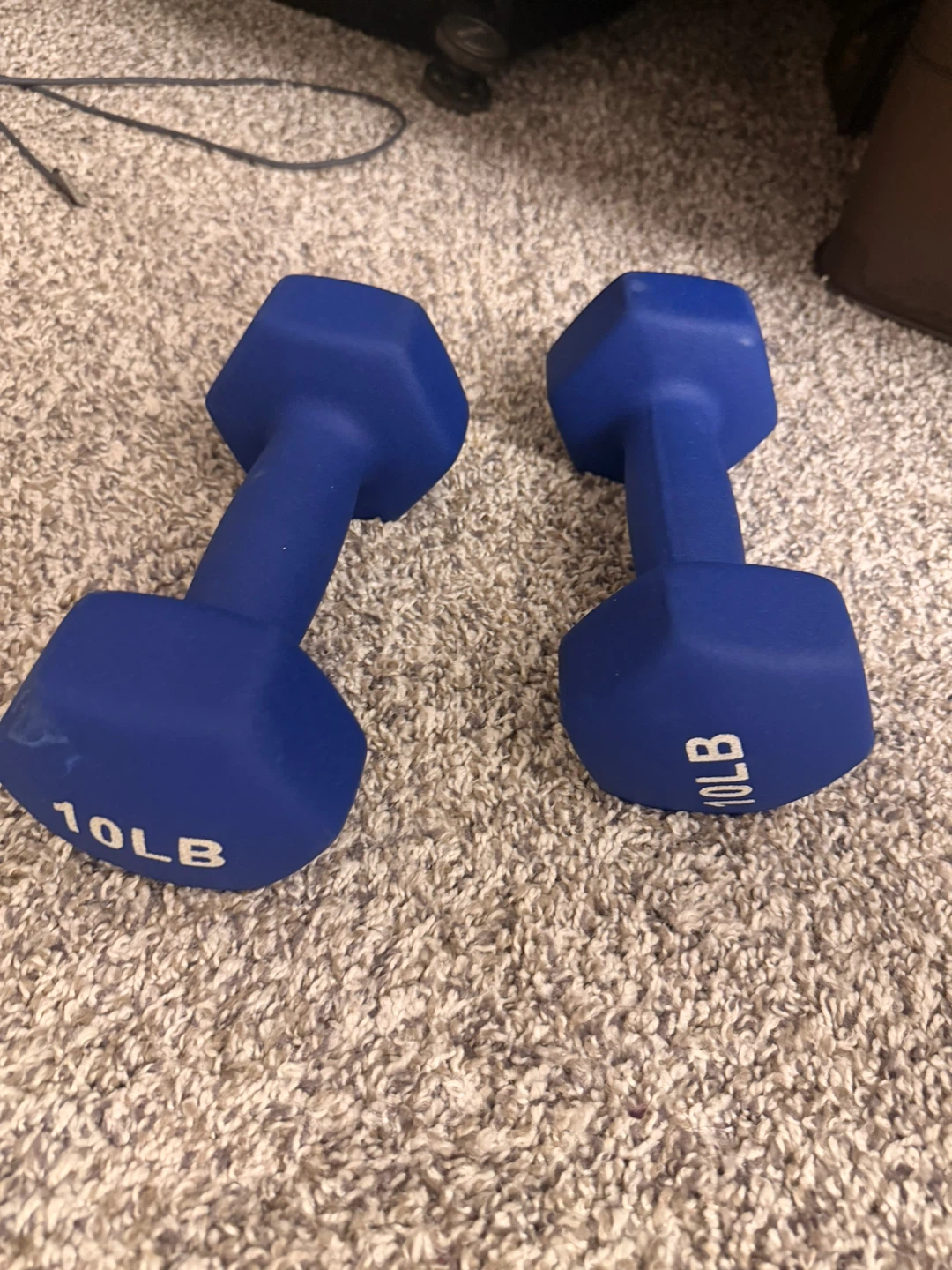 Pair of 10lb Blue Dumbbells