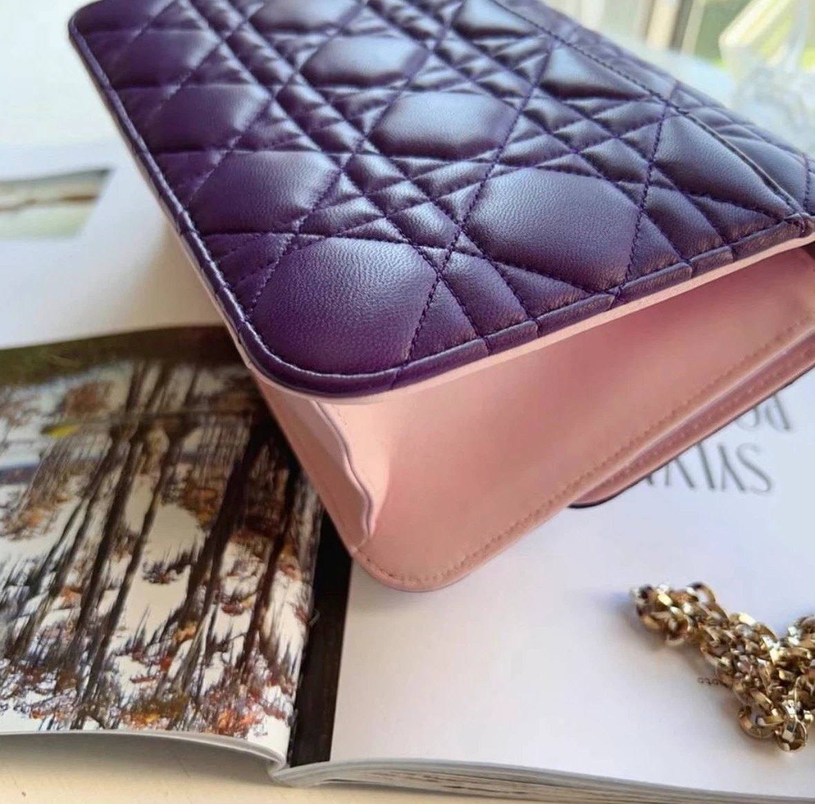 Dior Miss Dior Promenade Crossbody Bag - photo 3
