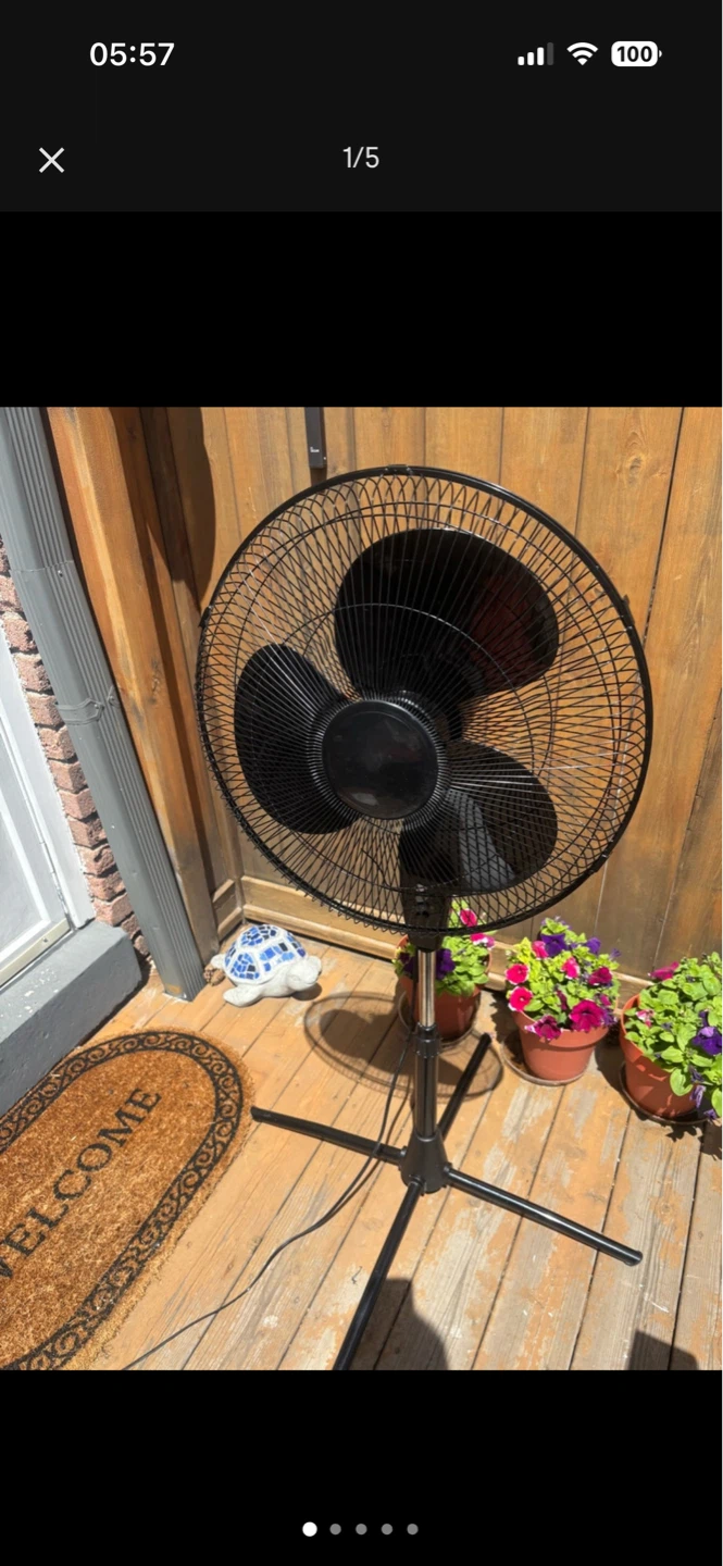 Black Pedestal Fan